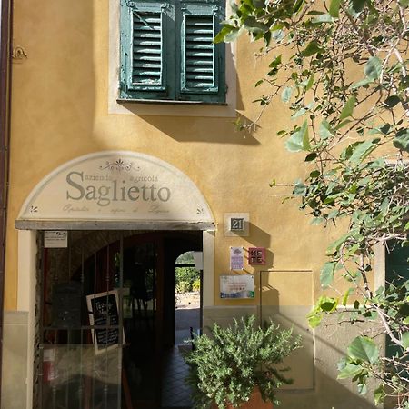 Uliveto Saglietto Agriturismo A Poggi Apartments Imperia Ngoại thất bức ảnh