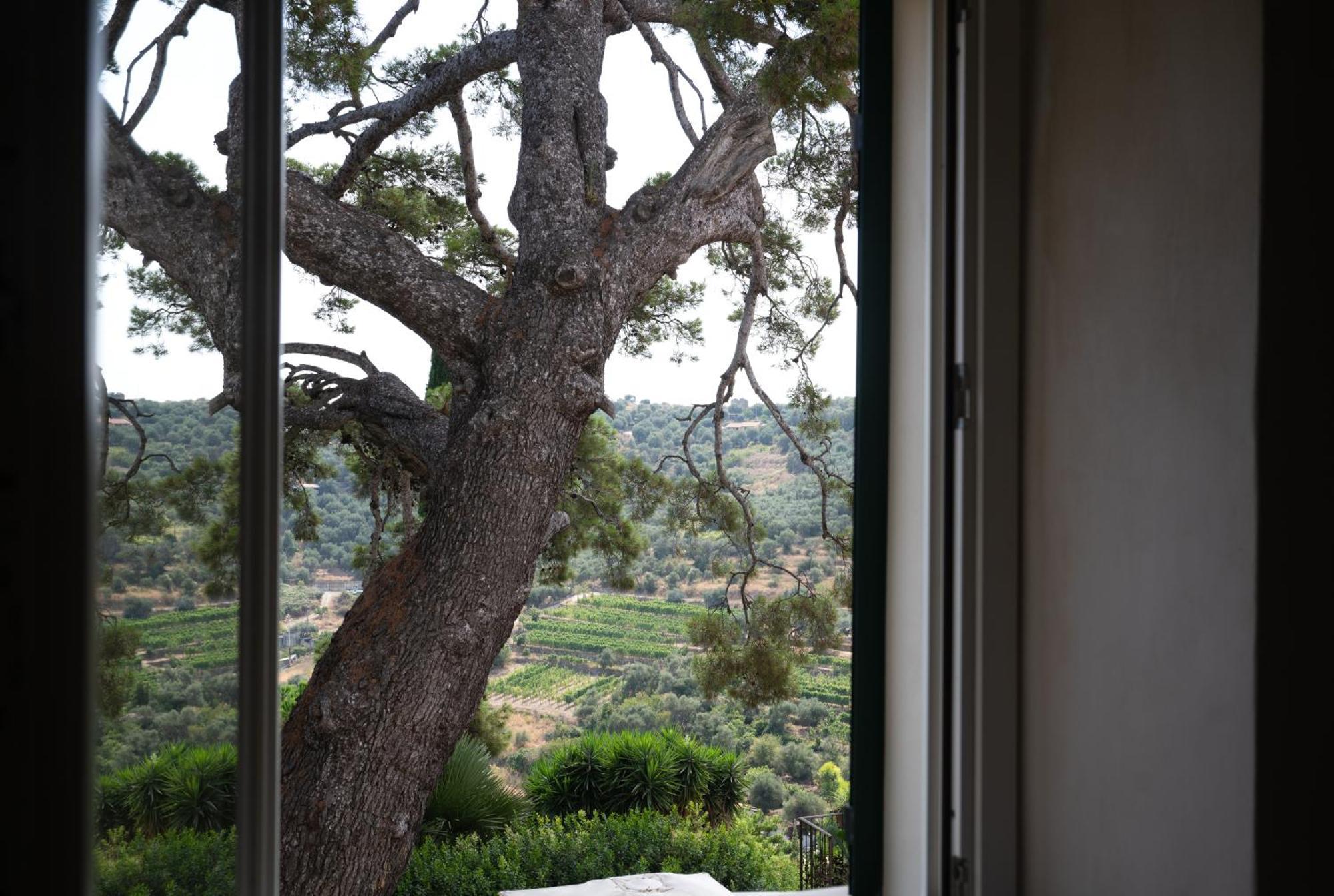 Uliveto Saglietto Agriturismo A Poggi Apartments Imperia Ngoại thất bức ảnh