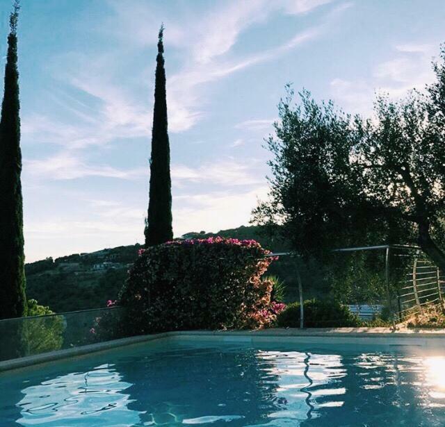 Uliveto Saglietto Agriturismo A Poggi Apartments Imperia Ngoại thất bức ảnh
